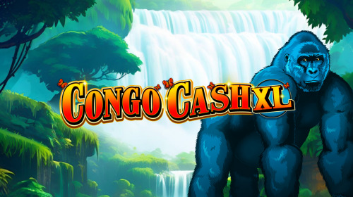 Congo Cash XL