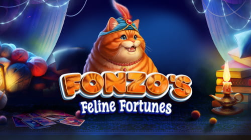 Fonzo’s Feline Fortunes