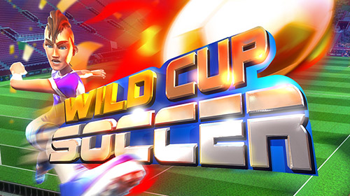 WILD Cup Soccer